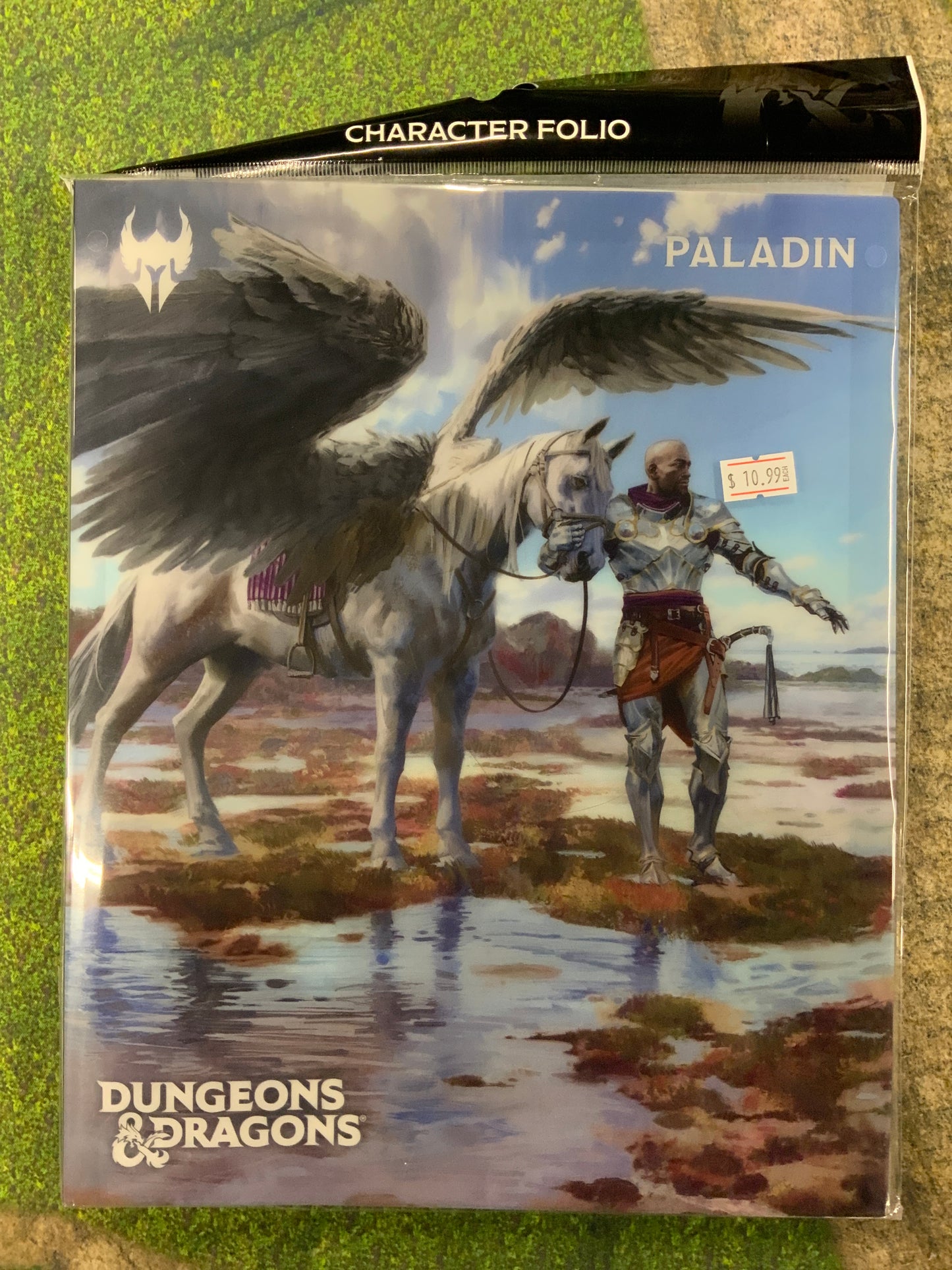 Class folio: Paladin