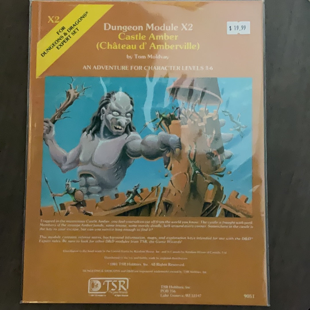 Dungeon Module X2 Castle Amber