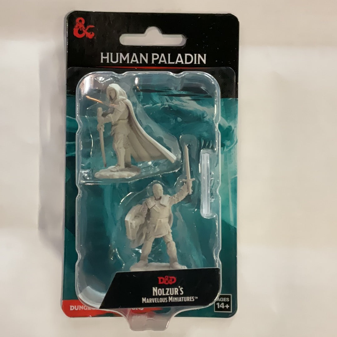 D&D Nolzur’s Marvelous Miniature Human Paladin Male