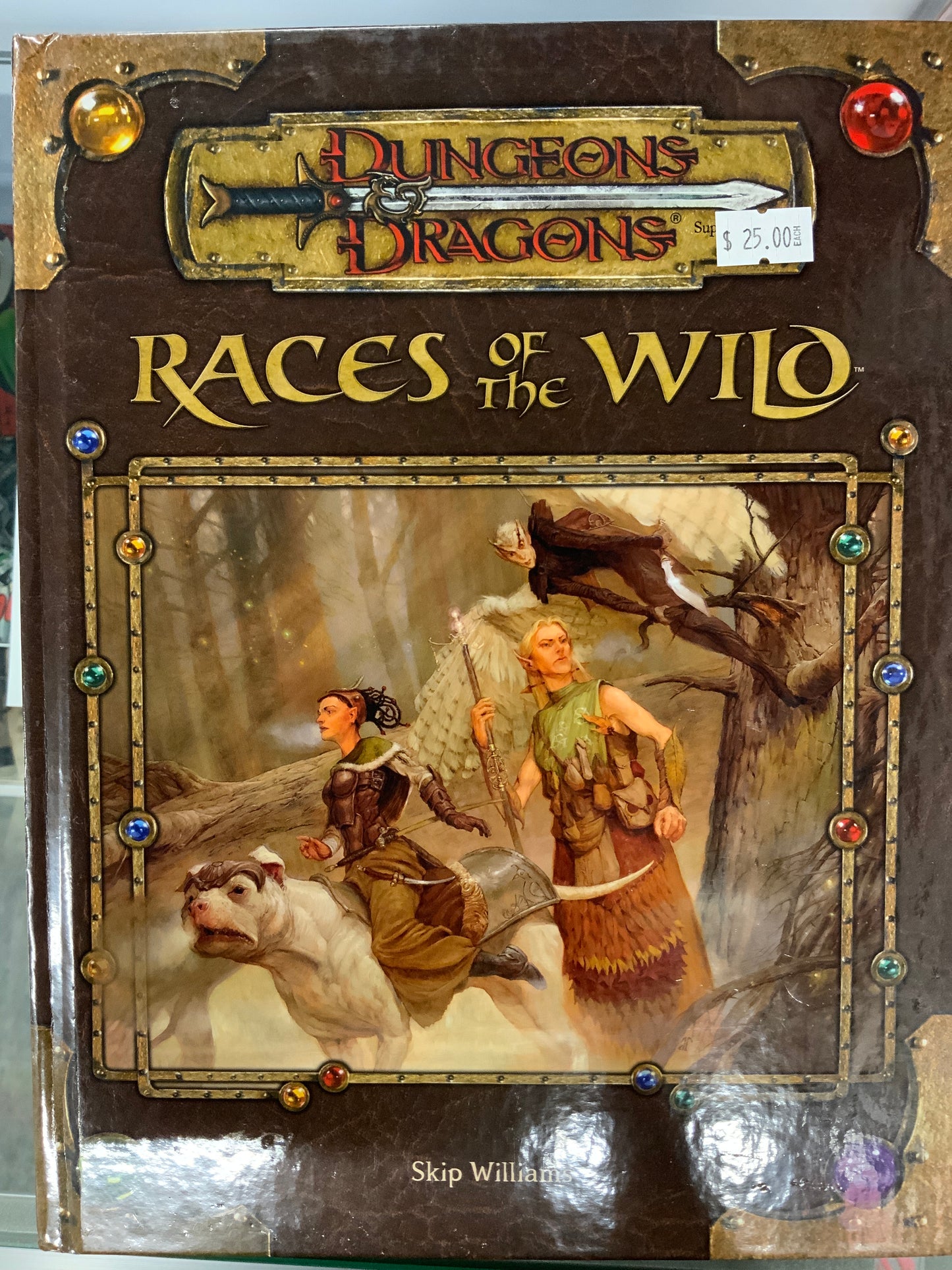 Dungeons & Dragons Races of the Wind