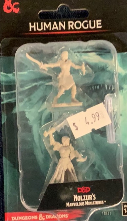 DND Figure - Human Rogue