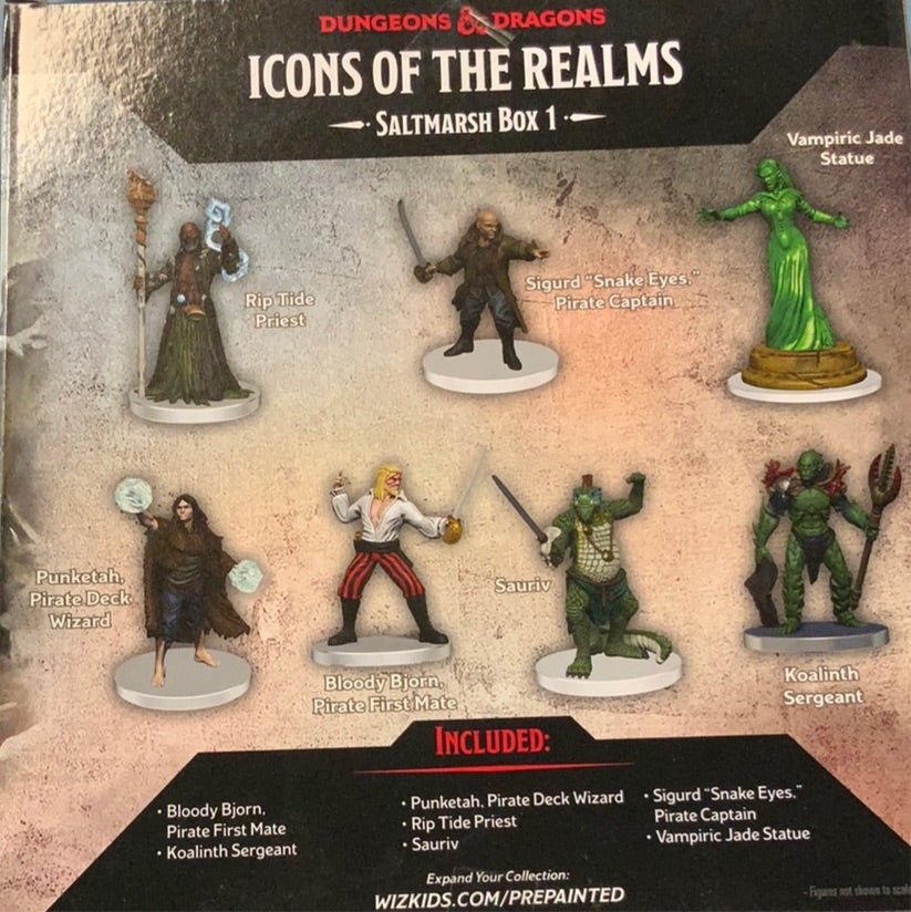 Painted DND figure set- Saltmarsh Box 1