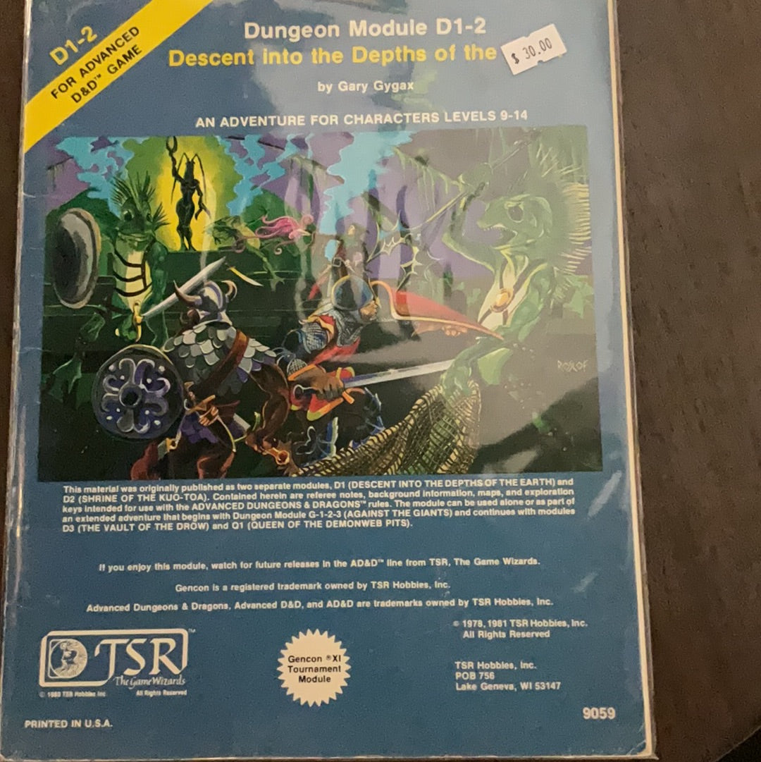 Dungeon Module D1-2 Decent into the Depths of Earth