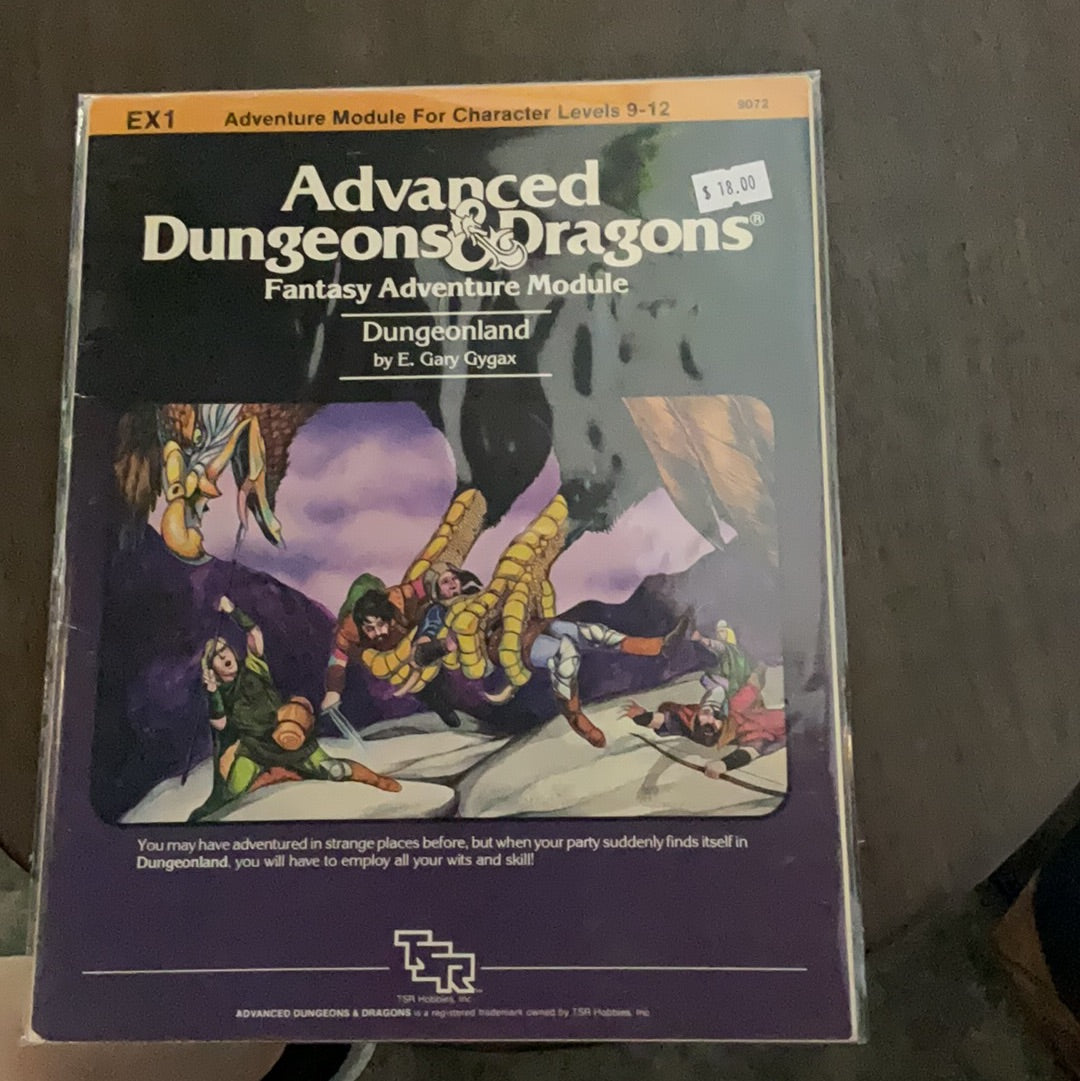 Advanced D&D Fantasy Adventure Module