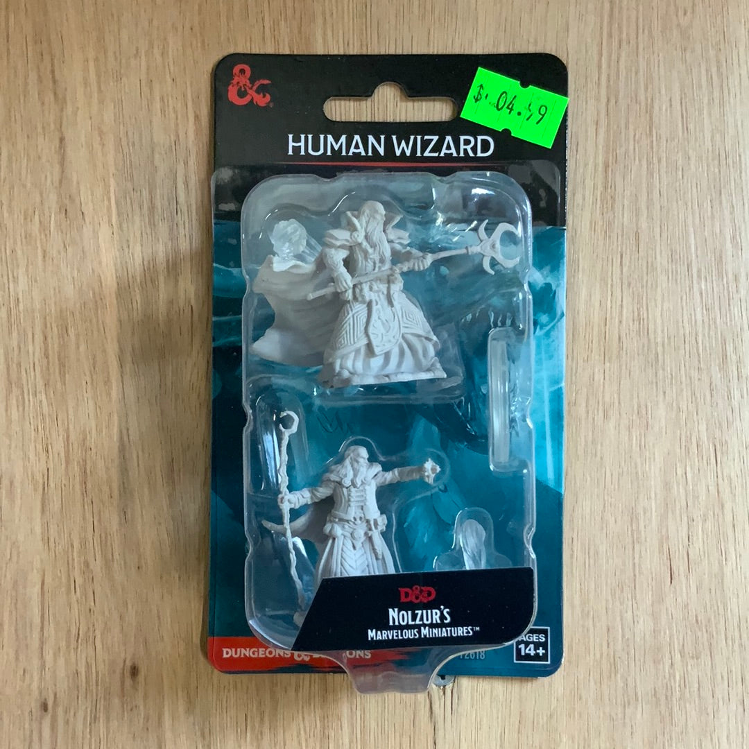 D&D Human Wizard Miniature