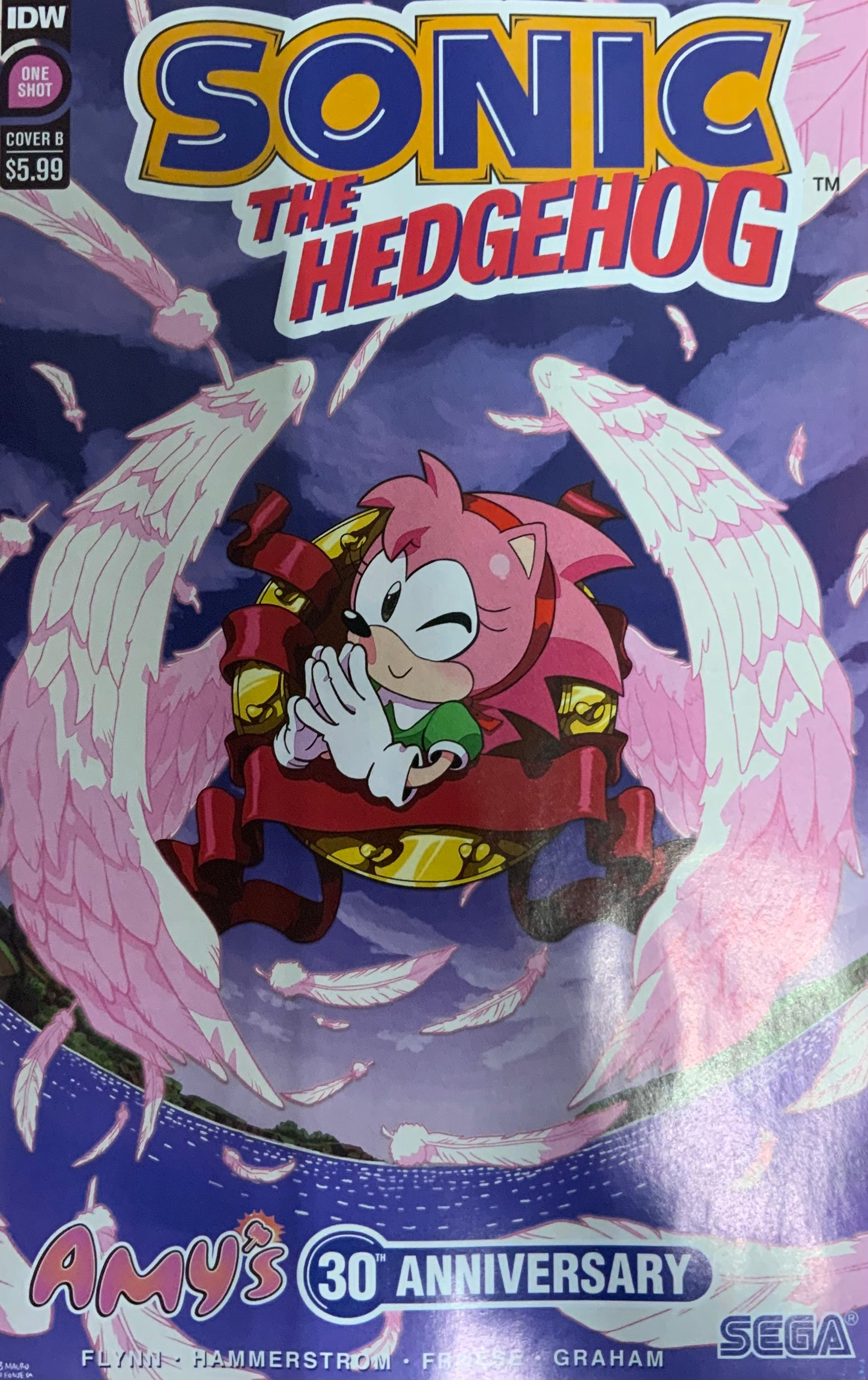 Sonic the Hedgehog: Amy’s 30th Anniversary