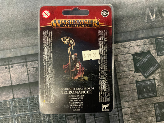 Warhammer Age Of Sigmar Soulblight Gravelords Necromancer