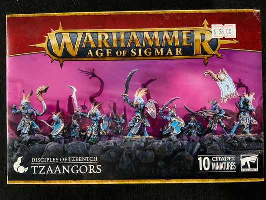 Warhammer Age Of Sigmar Disciples Of Tzeentch Tzangors