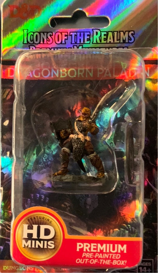 Painted DND figure- Dragonborn Paladin