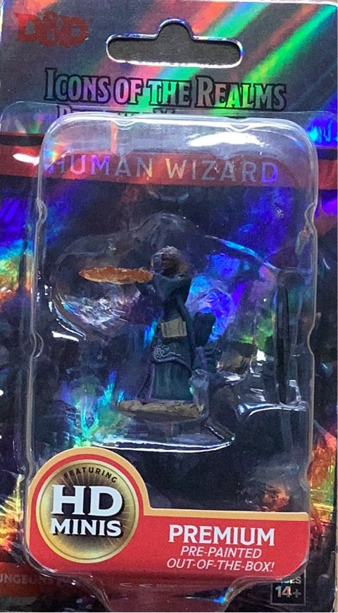 Painted DND figure - Human Wizard