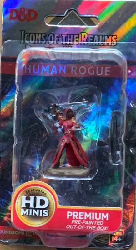 Painted DND figure- Human Rogue