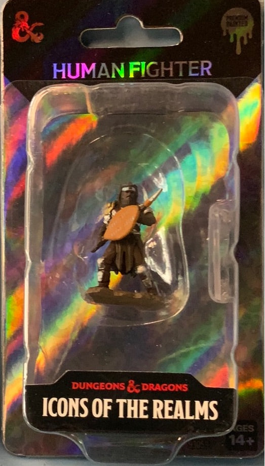 Painted DND figure- Human Fighter