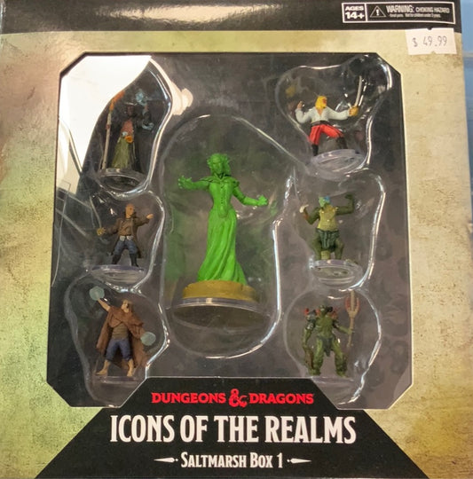 Painted DND figure set- Saltmarsh Box 1